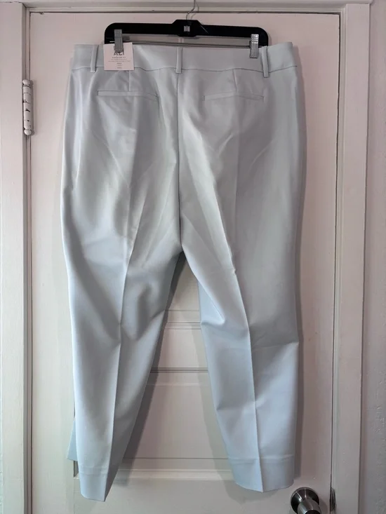 Roz & Ali Light Blue Ankle Pants - Picture 3 of 5